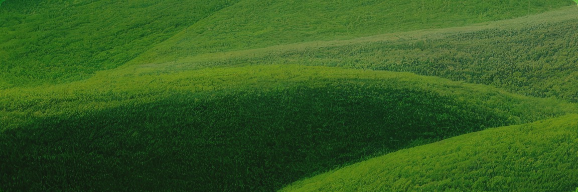 不朽情缘_首页官网入口