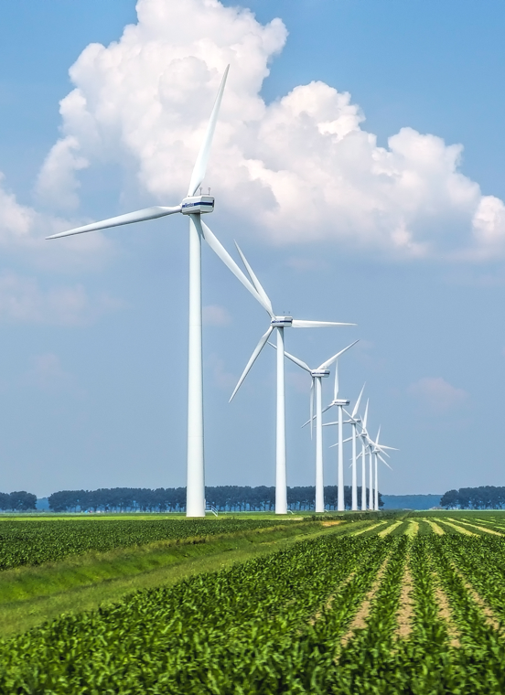 不朽情缘_首页官网入口